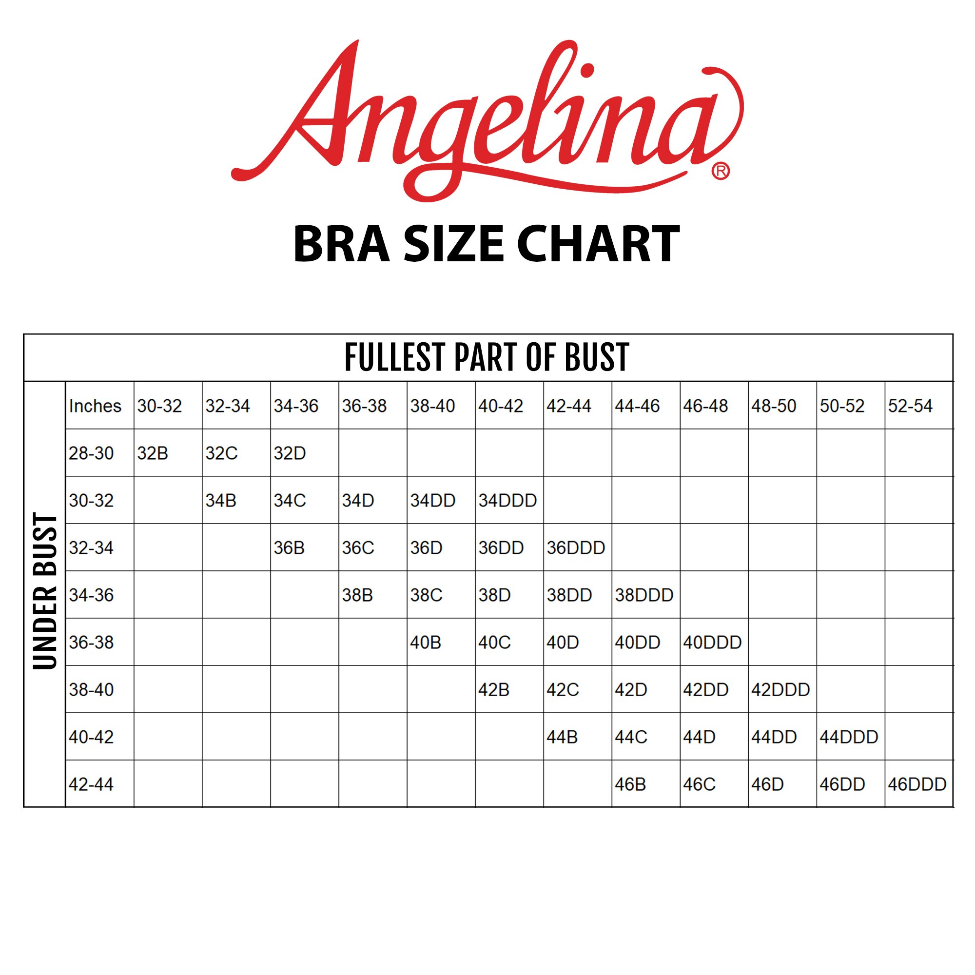 Angelina Women's Cotton Soft Cup Bras with Lace Trim - Comfortable Wireless Bralette 3-Pack for Everyday Wear, Sleep & Lounge