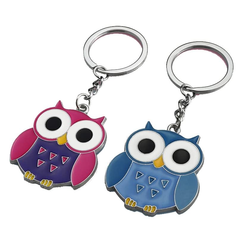 Stylish Lucky Owl Keychain with Evil Eye Charm - Enamel Painted Owl Key Holder for Women & Men | Perfect Gift for Travel, Home Decor & Daily Use