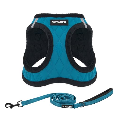 Harness Leash Set (Turquoise Plush)