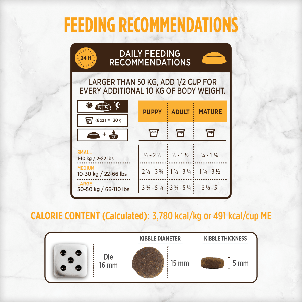 Nutrience Grain Free Turkey, Chicken & Herring Dry Dog Food - 10kg (22 lbs) Premium High Protein Recipe for Adult Dogs - Perfect for Sensitive Stomachs & Active Pets