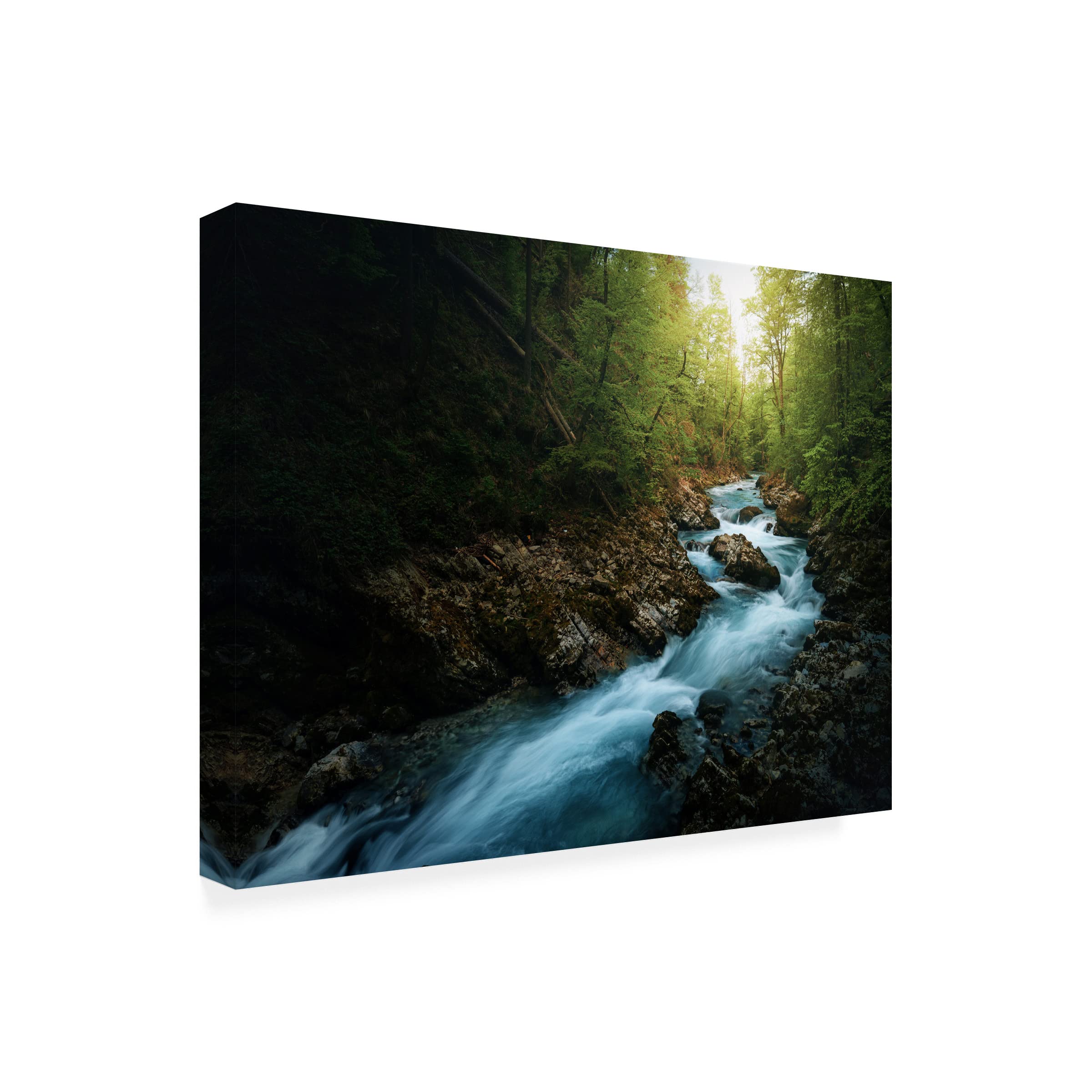 Trademark Fine Art 'Gorge 2' Canvas Wall Art by Juan Pablo - Stunning Landscape Painting for Living Room, Bedroom & Office Decor
