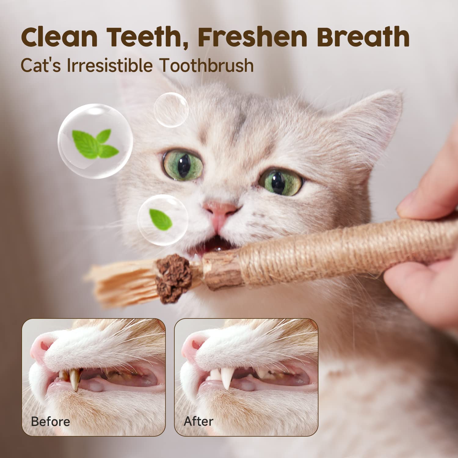 Potaroma 3 Pack Natural Silvervine Sticks for Cats - Catmint Silvervine Blend Chew Toys, Teeth Cleaning & Dental Care Treats, Edible Kitty Lick Sticks for Kittens, Perfect for Indoor Play & Stress Relief