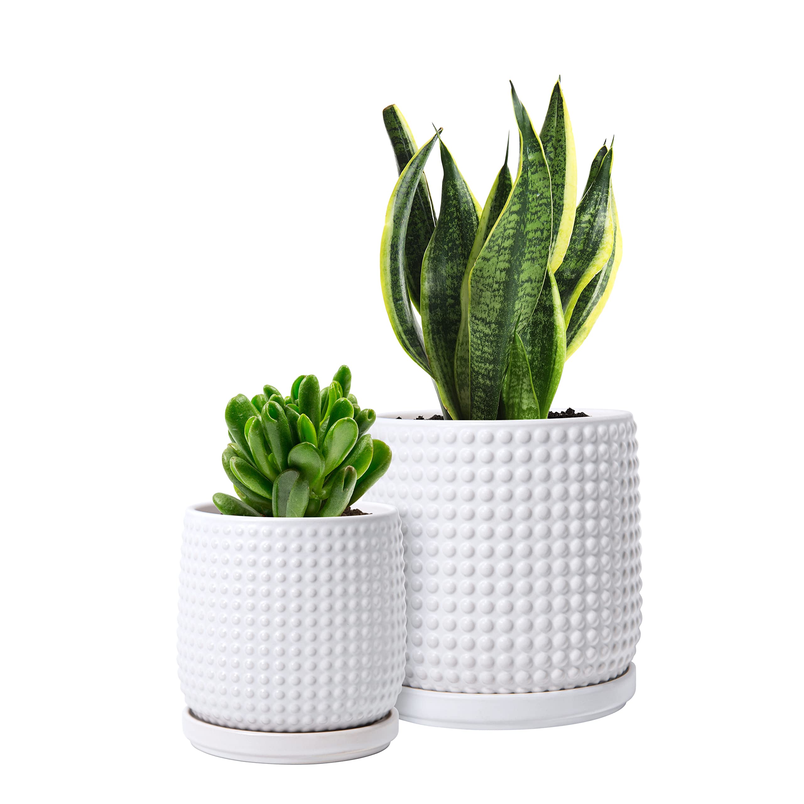 Set of 2 Ceramic Flower Pots - 6 Inch & 4 Inch Indoor Planters with Drainage Hole & Saucer, Beaded Design Matte White (27-H-B-W-ZS) - Perfect for Home Decor, Office Plants & Succulent Arrangements