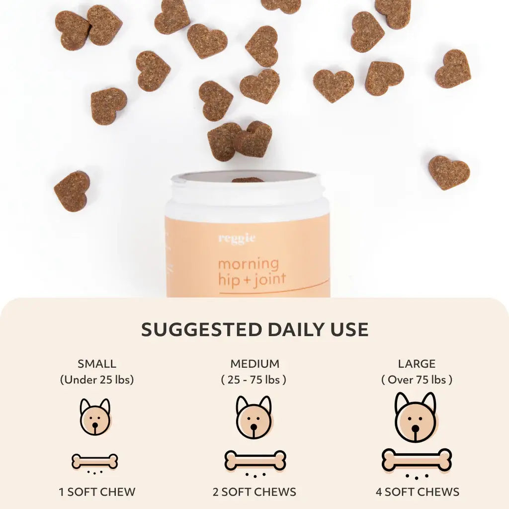 Premium Hip & Joint Soft Chews for Dogs - Advanced Mobility Supplement with MSM & Glucosamine - Supports Healthy Joints & Flexibility for Active Dogs - Ideal for Senior Dogs & Large Breeds