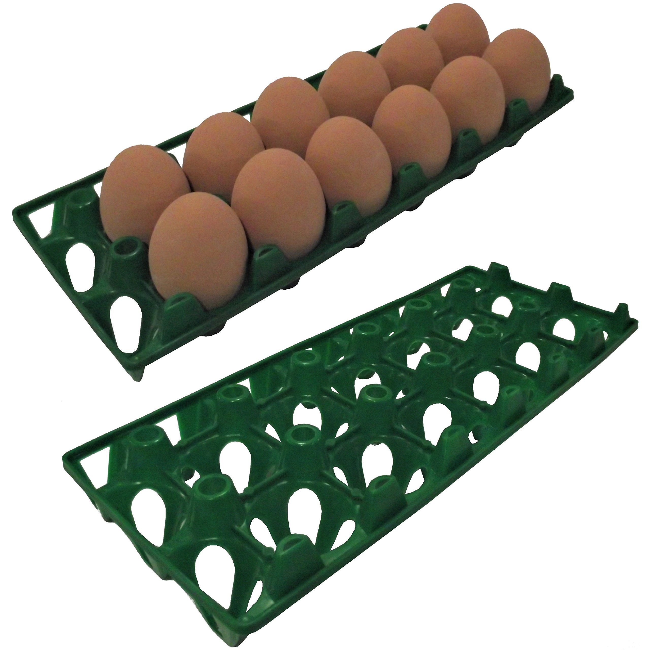 48 Pack of RITE FARM PRODUCTS 12-Egg Polypropylene Chicken Egg Trays - Durable Poultry Shipping Cartons for Egg Transport & Storage - Perfect for Farmers, Backyard Chicken Keepers, and Egg Distributors