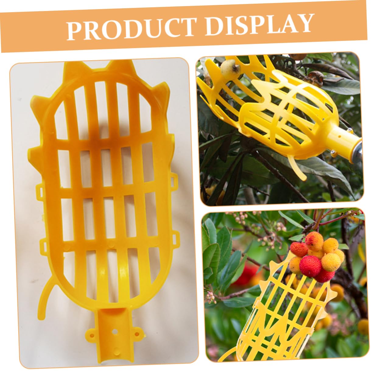 Hemoton Plastic Fruit Picker Basket with Pole - Garden Harvesting Tool for Avocados, Oranges, Mangoes - Lightweight Fruit Catcher for Home Orchards & Farms (Random Color) - Perfect for Harvesting High Tree Fruits Safely