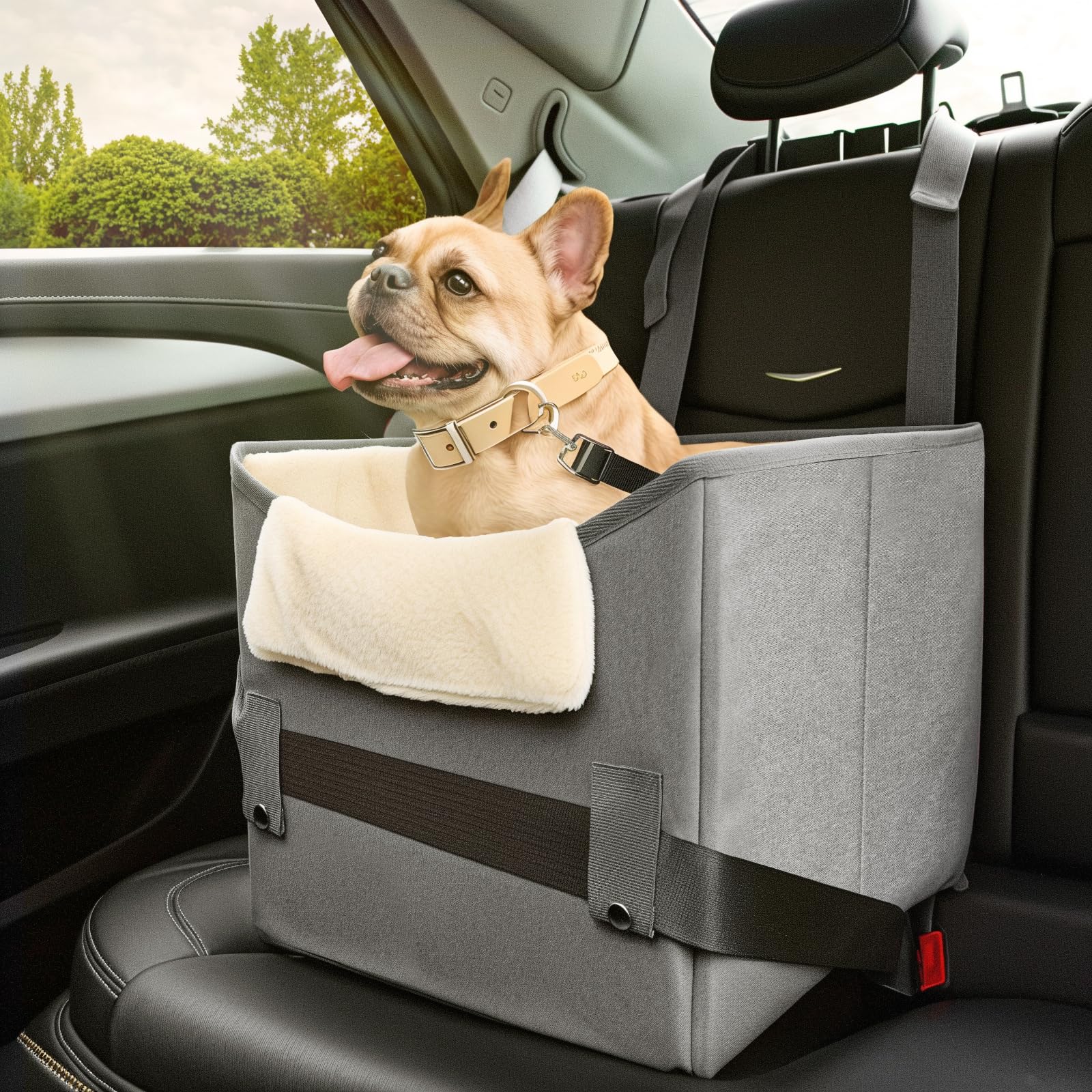 Small & Medium Dog Car Seat with Harness & Thick Cushion - Portable Pet Booster for Cars up to 25lbs (Gray) - Perfect for Road Trips, Vet Visits & Safe Travel
