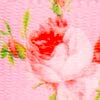 Rose Baby Pink