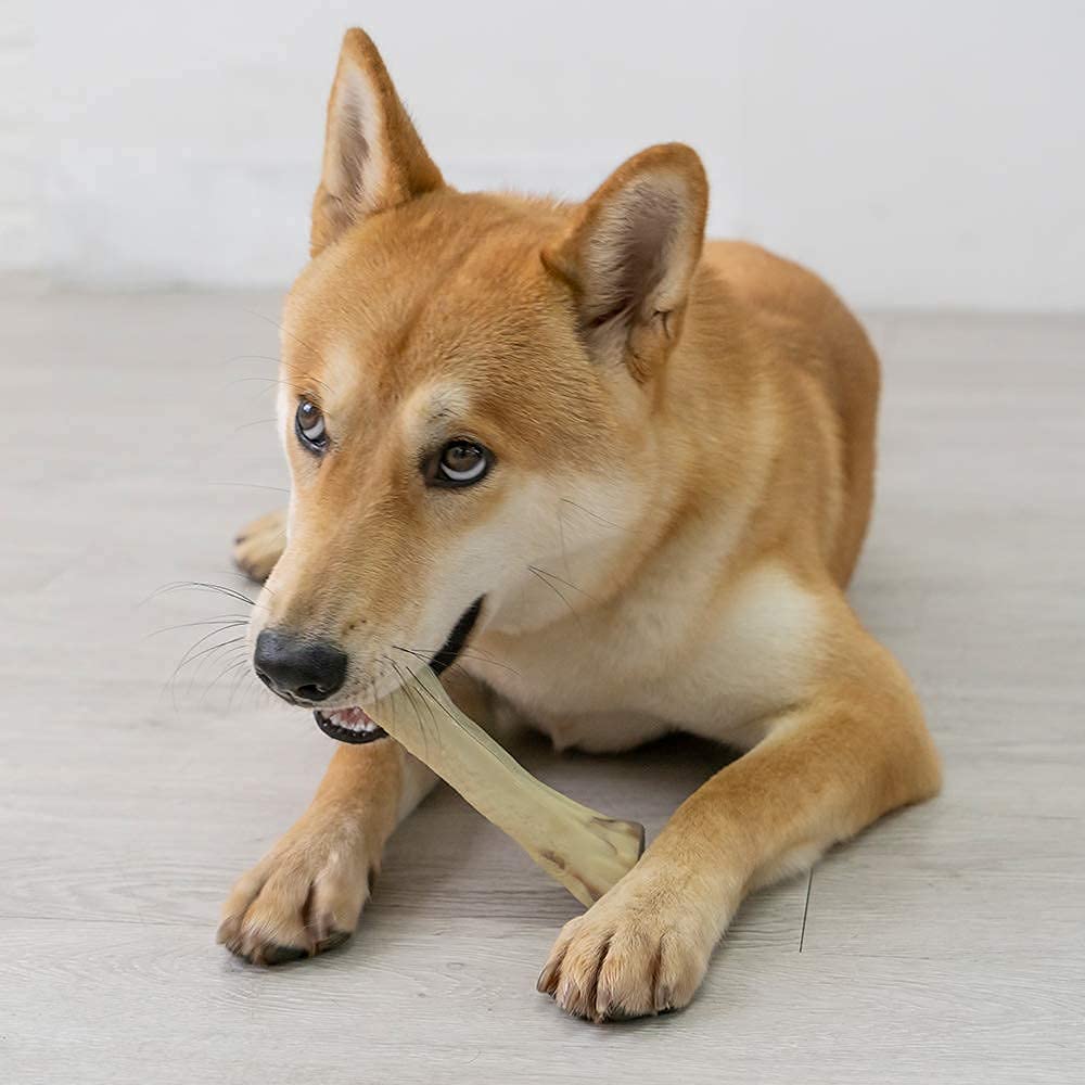 Durable Small Dog Chew Toy for Aggressive Chewers - Tough Nylon Puppy Teething Toy, Marrow Bone Shape for Small Breeds | Perfect for Teething Relief & Long-Lasting Chewing Fun