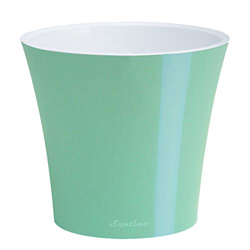 Menthol/White