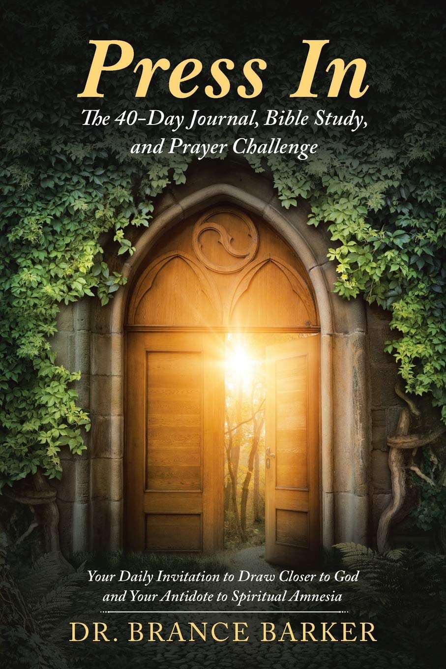 Press In: 40-Day Devotional Journal with Bible Study & Prayer Challenge – Perfect for Daily Quiet Time, Spiritual Growth & Christian Meditation