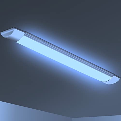 6500K Coldlight