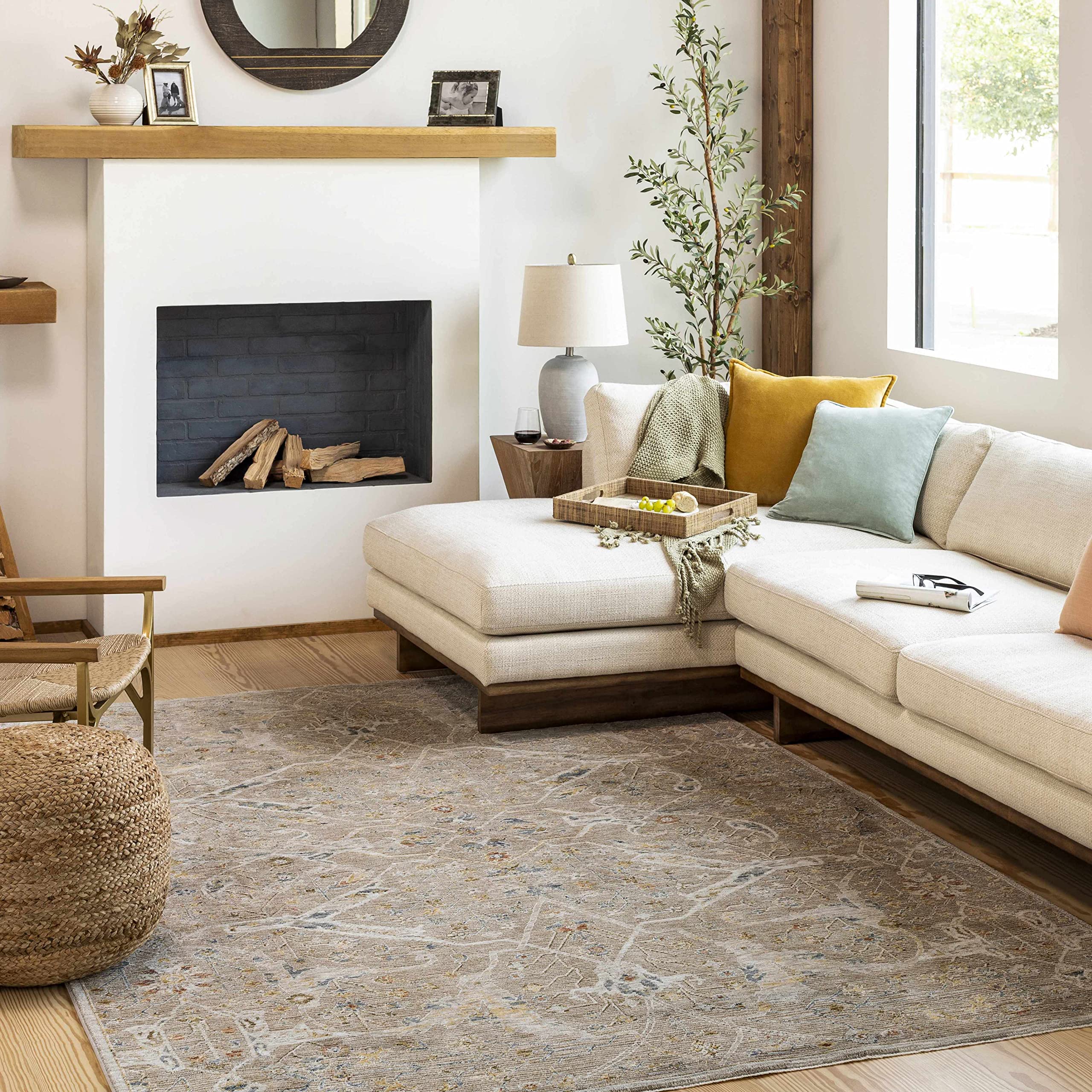 Hauteloom Barneyside Soft Plush Area Rug for Living Room & Bedroom - 9' x 12'2