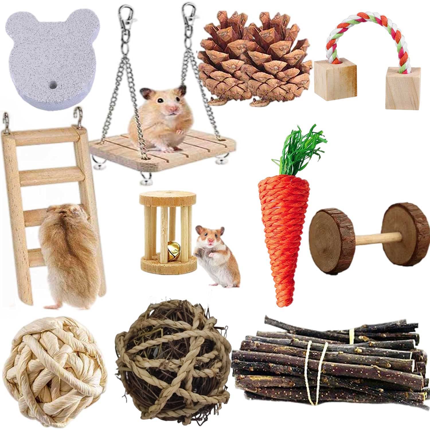 21PCS Natural Wooden Hamster Chew Toys Set - Teeth Care & Exercise Toys for Guinea Pigs, Rabbits, Syrian Rats, Chinchillas, Gerbils - Small Pet Dental Health & Play Accessories for Cage Enrichment
