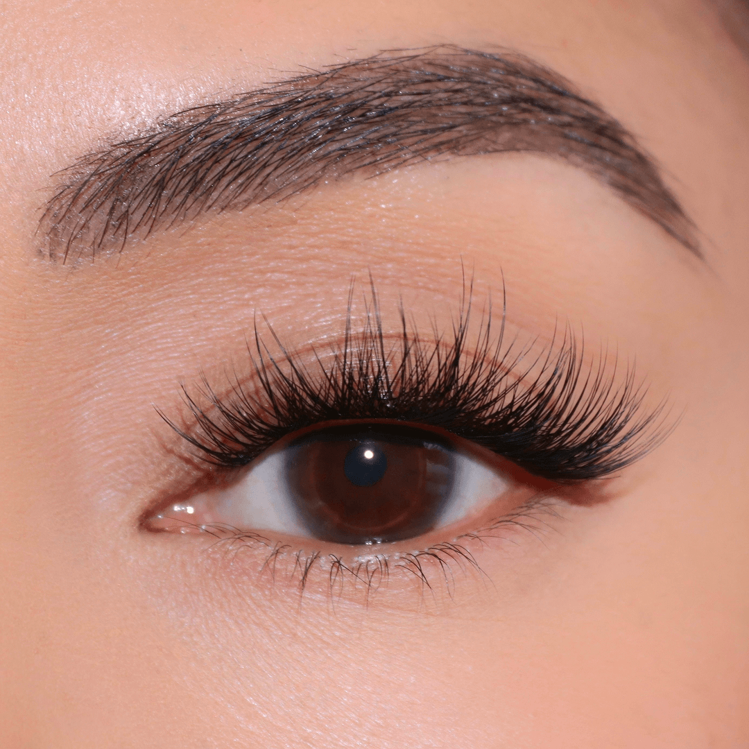 Professional Curated Eyelash Extension Kit - Natural & Dramatic Looks for Every Occasion | Perfect for Bridal, Party & Everyday Wear