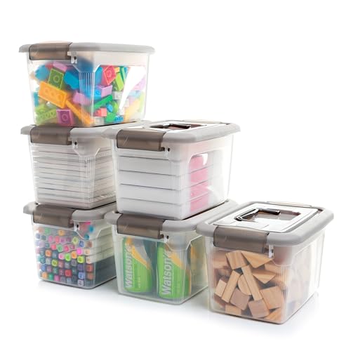 Clear case with grey lids