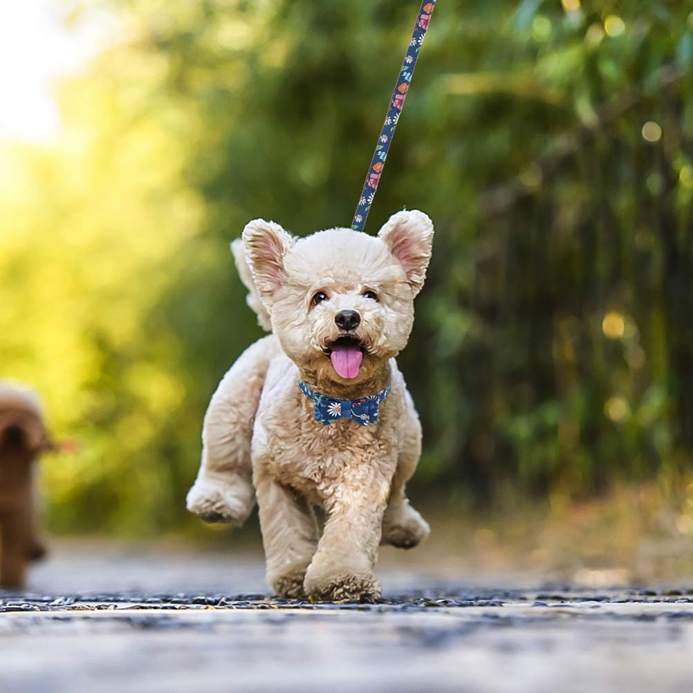 EXPAWLORER Adjustable Dog Collar & Leash Set with Plaid Bow Tie, Bandana & Bell - Tangle-Free Pet Leash for Small Medium Large Dogs & Cats - Perfect for Holidays, Walks & Gifting