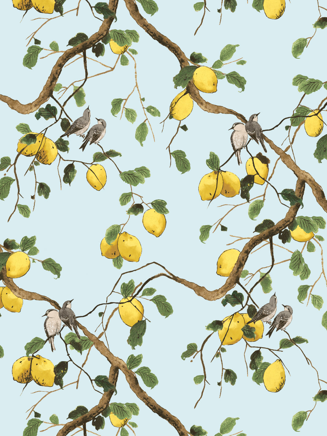 Lemon Birds Wallpaper by Nathan Turner - Light Blue Floral Peel & Stick Wallpaper for Bedroom, Nursery, or Home Office Decor