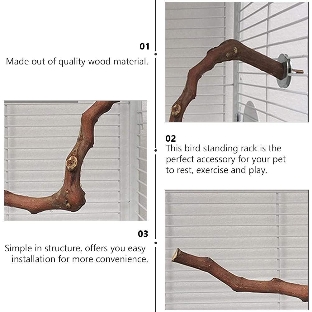 TEHAUX Natural Wood Bird Play Stand - Training Toy for Parrots, Budgies & Small Birds | Cage Accessories, Grape Wood Grinding Stick & Perch for Chewing & Playing | Perfect for Bird Exercise & Beak Trimming
