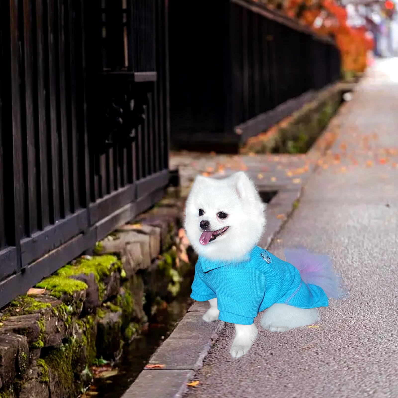 Dog T-Shirt with Sports Collar for Small & Medium Dogs - All Seasons Pet Clothing (Brilliant Blue, Size L) | Perfect for Daily Walks, Pet Parties & Outdoor Adventures