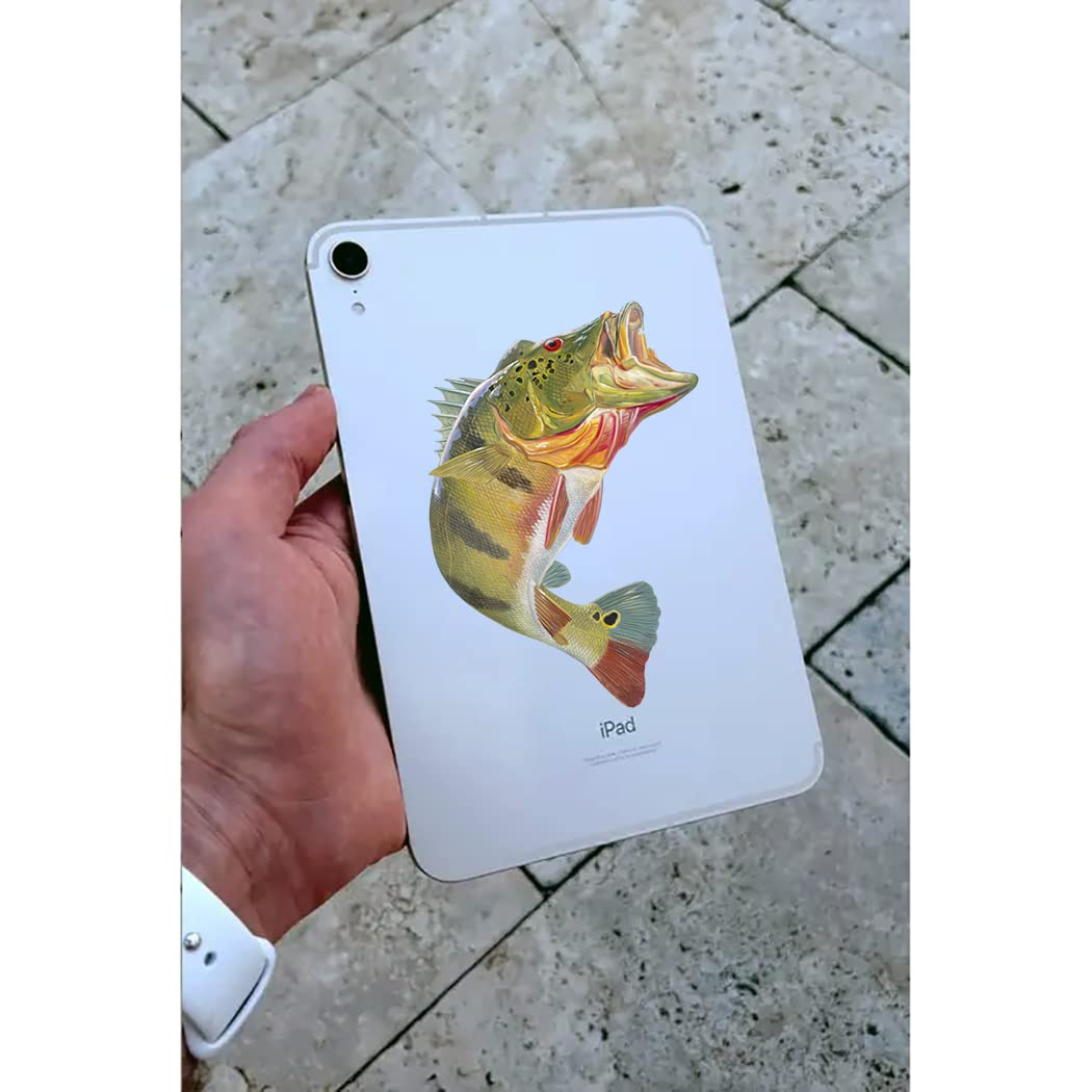 Premium Peacock Bass Fish Decals - Waterproof UV-Resistant Vinyl Stickers for Fishing Gear, Coolers & Outdoor Equipment - Perfect for Anglers & Boat Enthusiasts