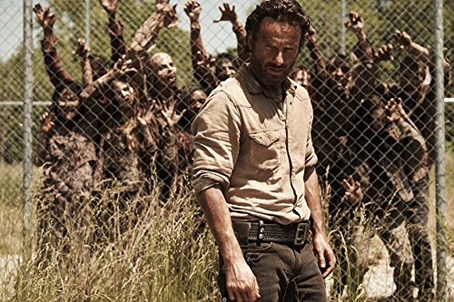 The Walking Dead Season 4 DVD - Complete Zombie Apocalypse TV Series Box Set | Perfect for Horror Fans & Collectors | Great for Movie Nights & Halloween Parties