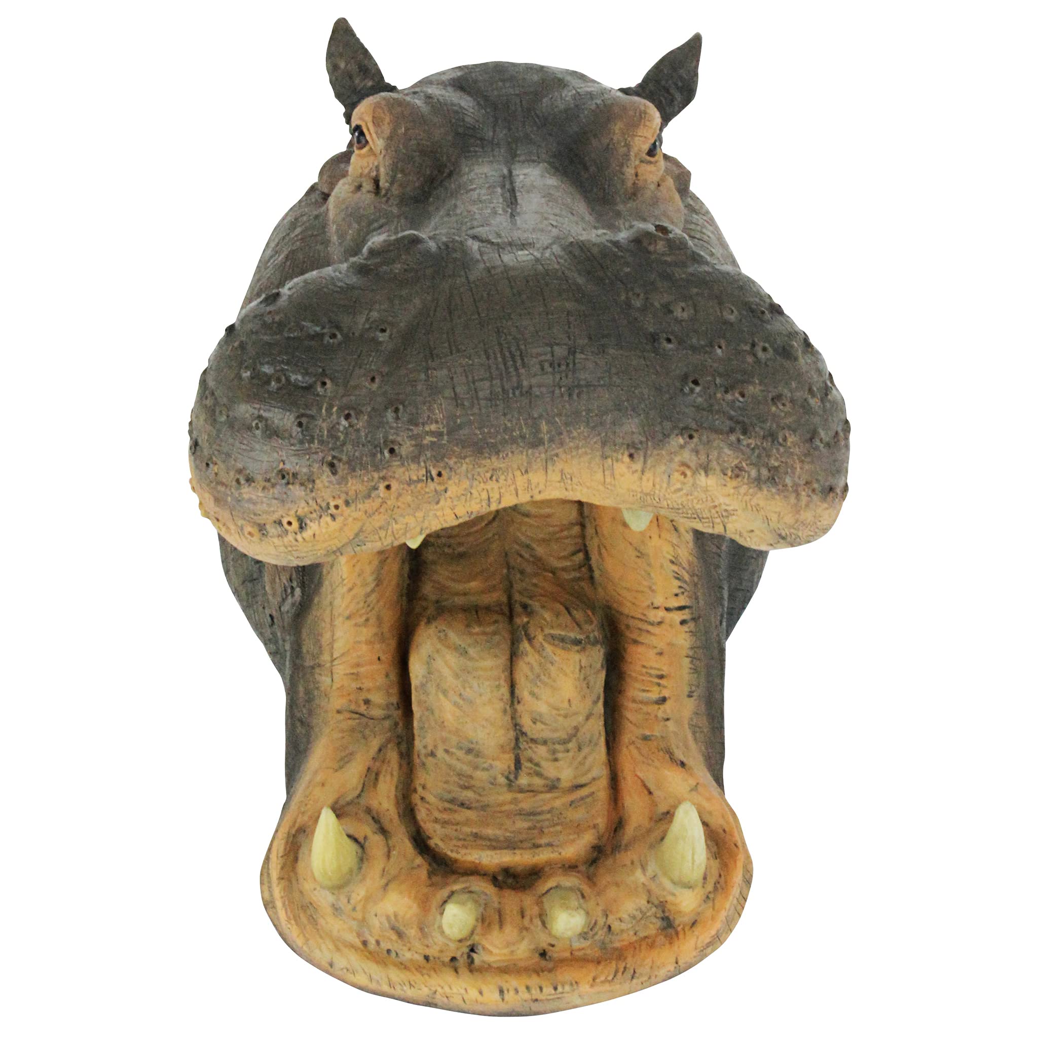 Design Toscano Huey The Hippo Garden Statue - Whimsical Outdoor Decor for Lawn, Patio & Garden - Perfect Animal Sculpture for Backyard, Poolside & Landscaping