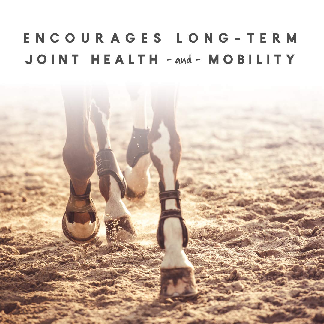 Manna Pro Cetyl-M Joint Supplement for Horses - Omega 5 Fatty Acids Formula - 11.2 LB Pellets for Joint Health & Mobility - Ideal for Senior Horses & Performance Equines