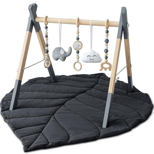 Foldable Baby Play Gym with Mat