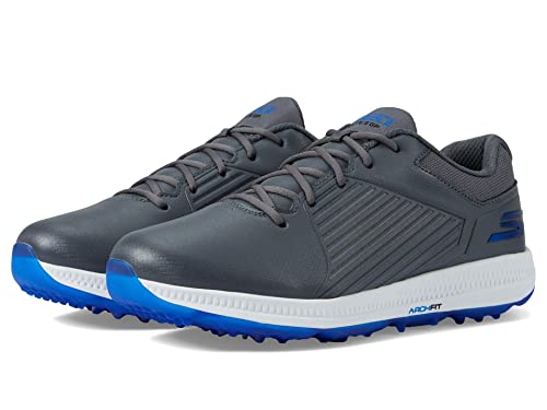 Gray/Blue