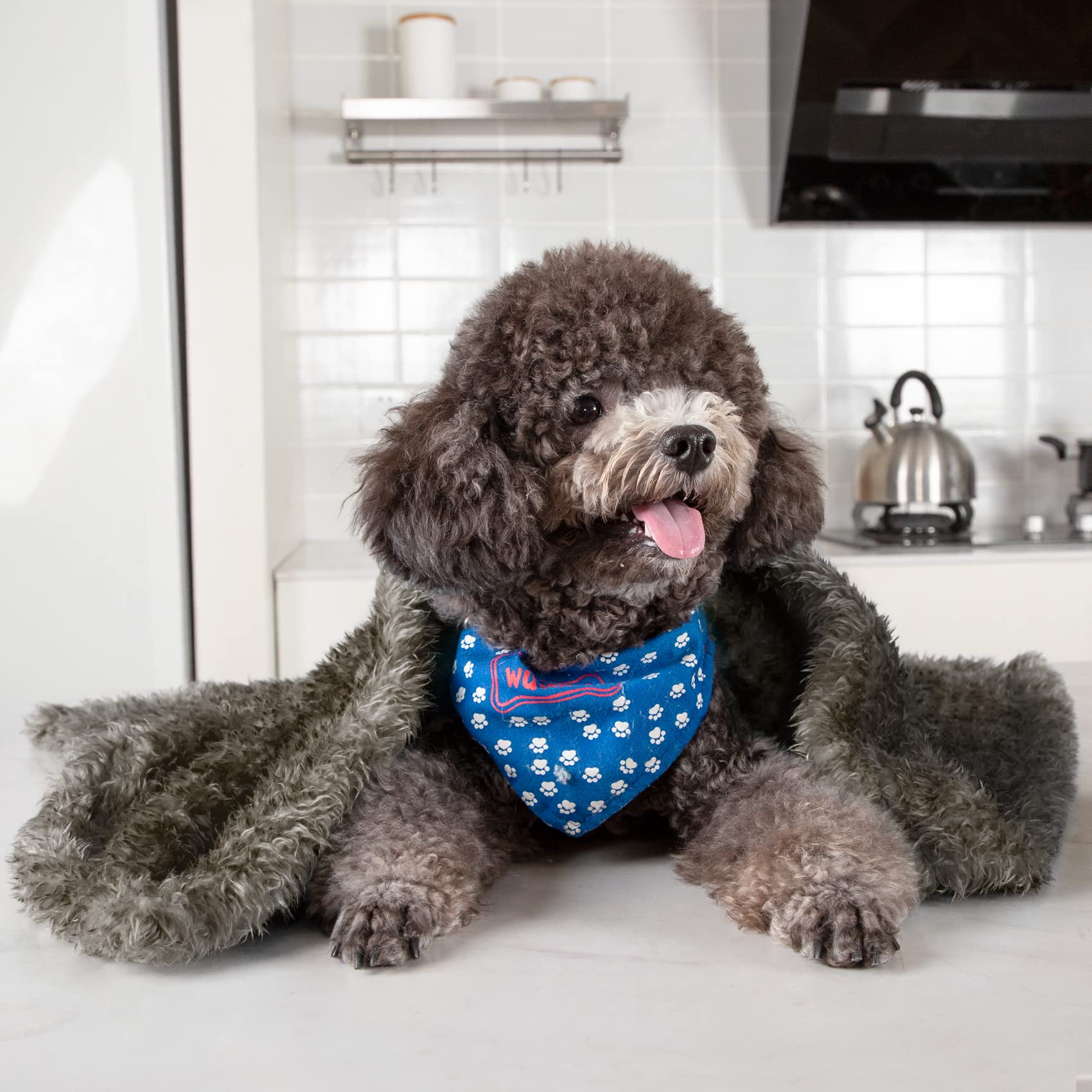 Fluffy Fleece Dog Blanket - Warm Pet Throw for Small Medium Large Dogs & Cats - Perfect for Bed, Couch & Travel