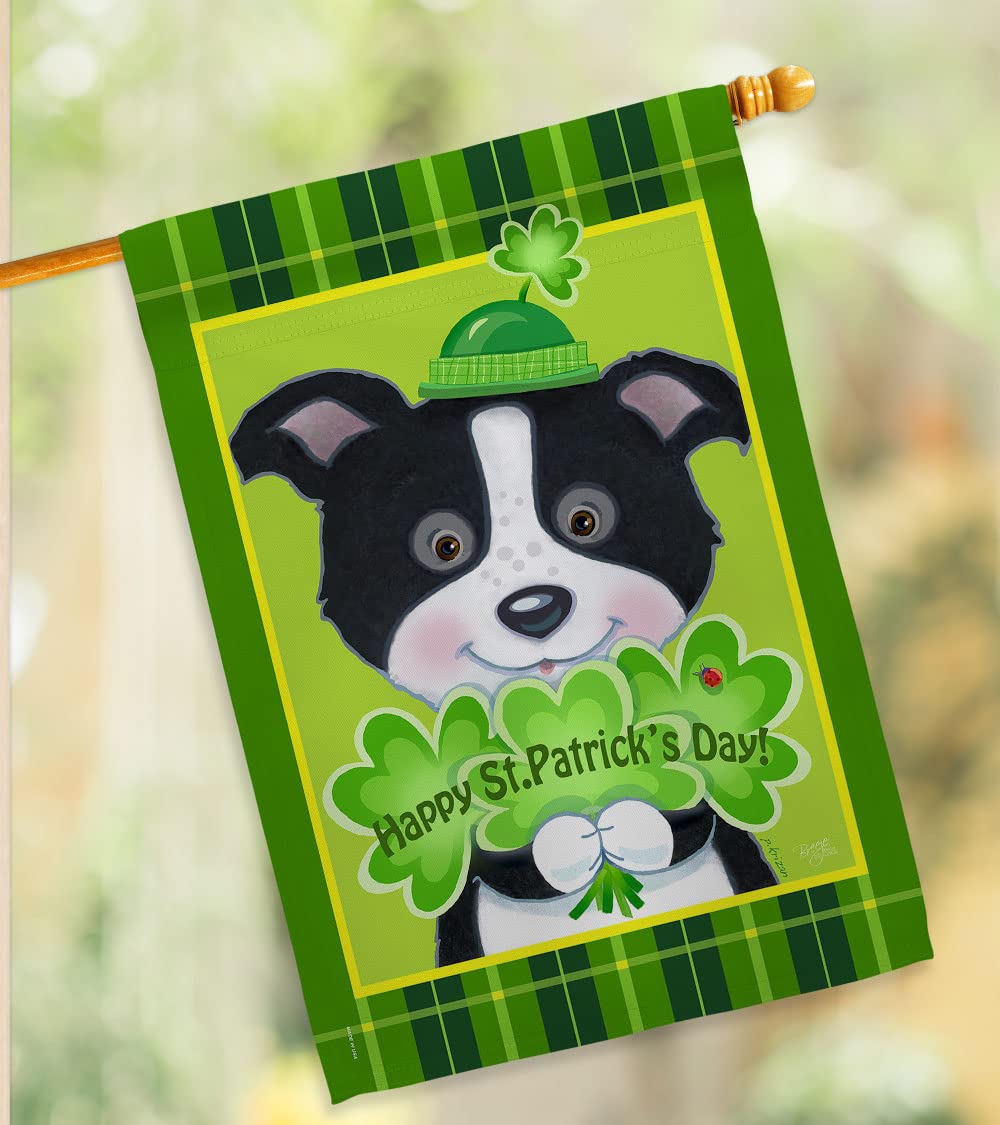 St. Patrick's Day House Flag 28x40