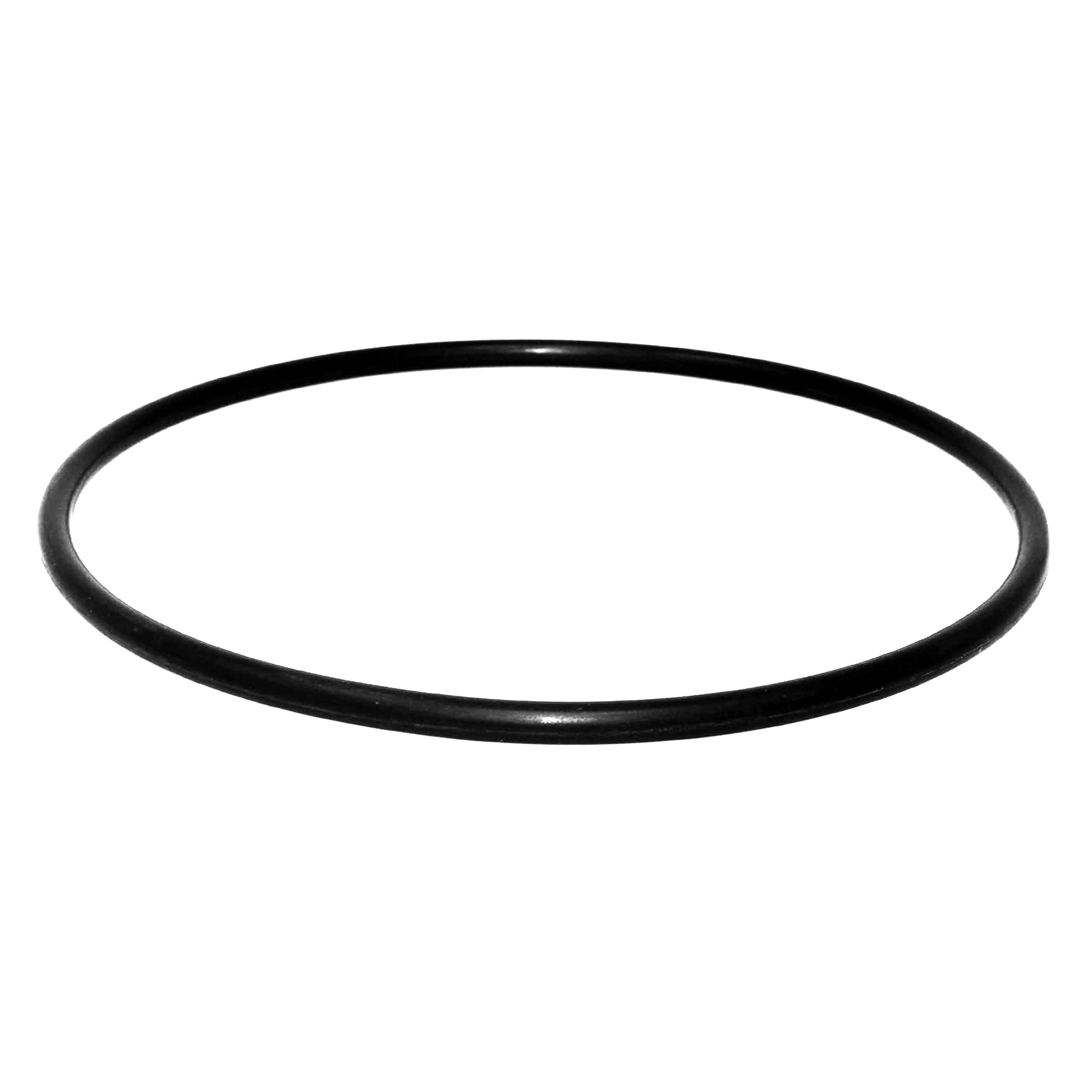 Pentair Pool and Spa Filter Body O-Ring Replacement - 87300400 - Durable Sealing Ring for Pool Maintenance and Water Leak Prevention