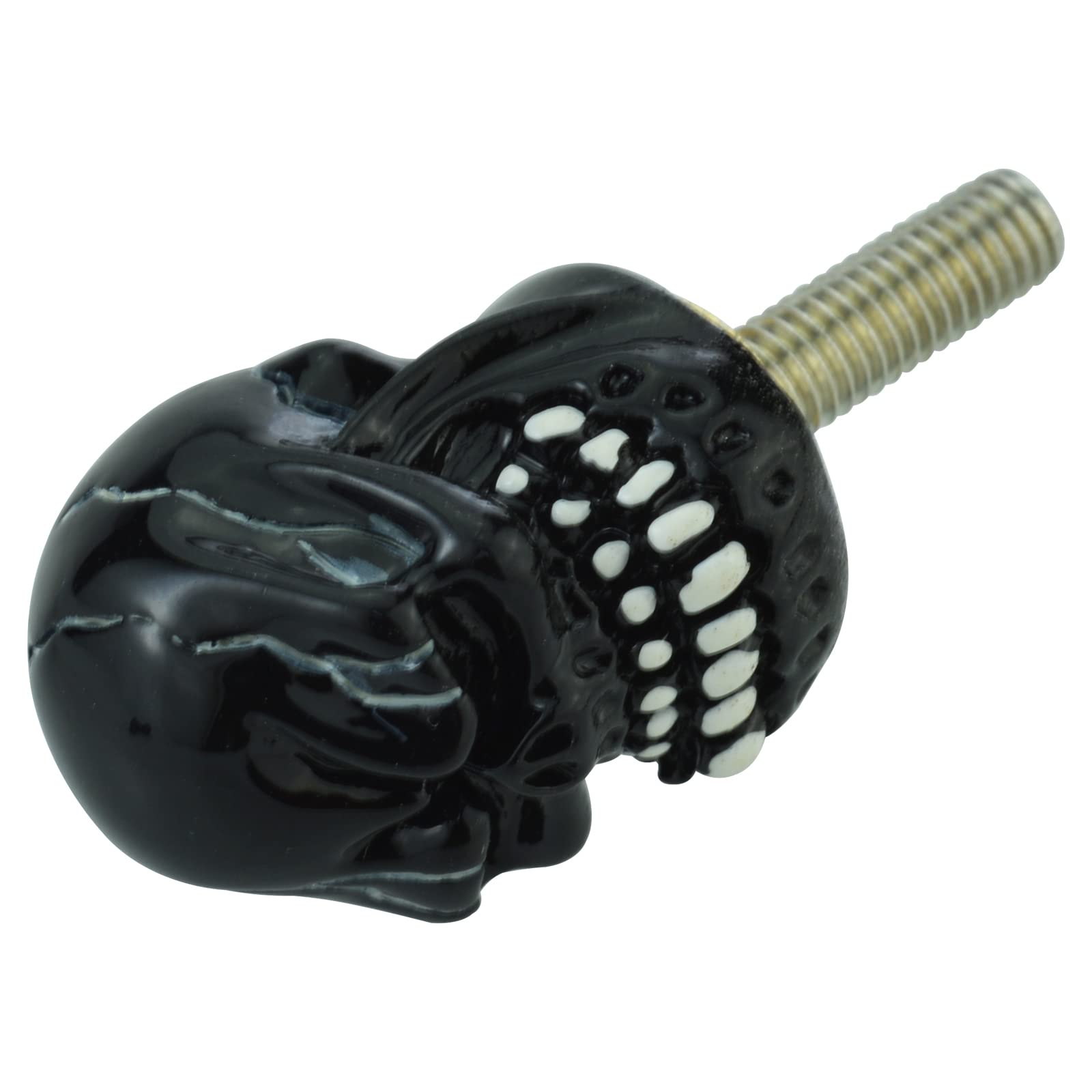 Arenbel 6Pcs Black Motorcycle Windshield Screws Kit - Skull Design Hardware Mounting Fasteners for Motorbike Fairing Bolts & Nuts | Perfect for Harley, Honda, Yamaha & Cruiser Bike Windshield Installation