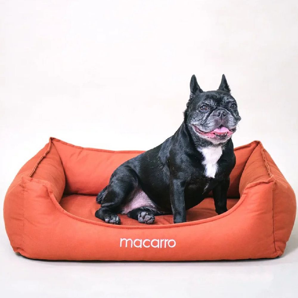 Premium Cotton Latex Pet Bed - Ultra Soft & Durable Dog & Cat Bed for Small to Large Breeds - Perfect for Indoor Use, Crate Training & Cozy Napping Spots