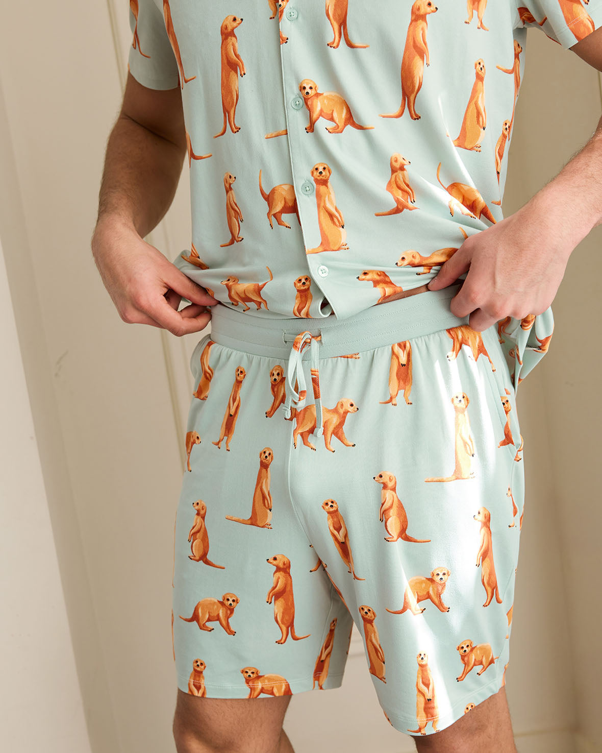 Meerkat Print Short Pajama Set for Women - Mint Green Sleepwear for Summer & Lounge Wear - Perfect for Nighttime Comfort & Relaxation