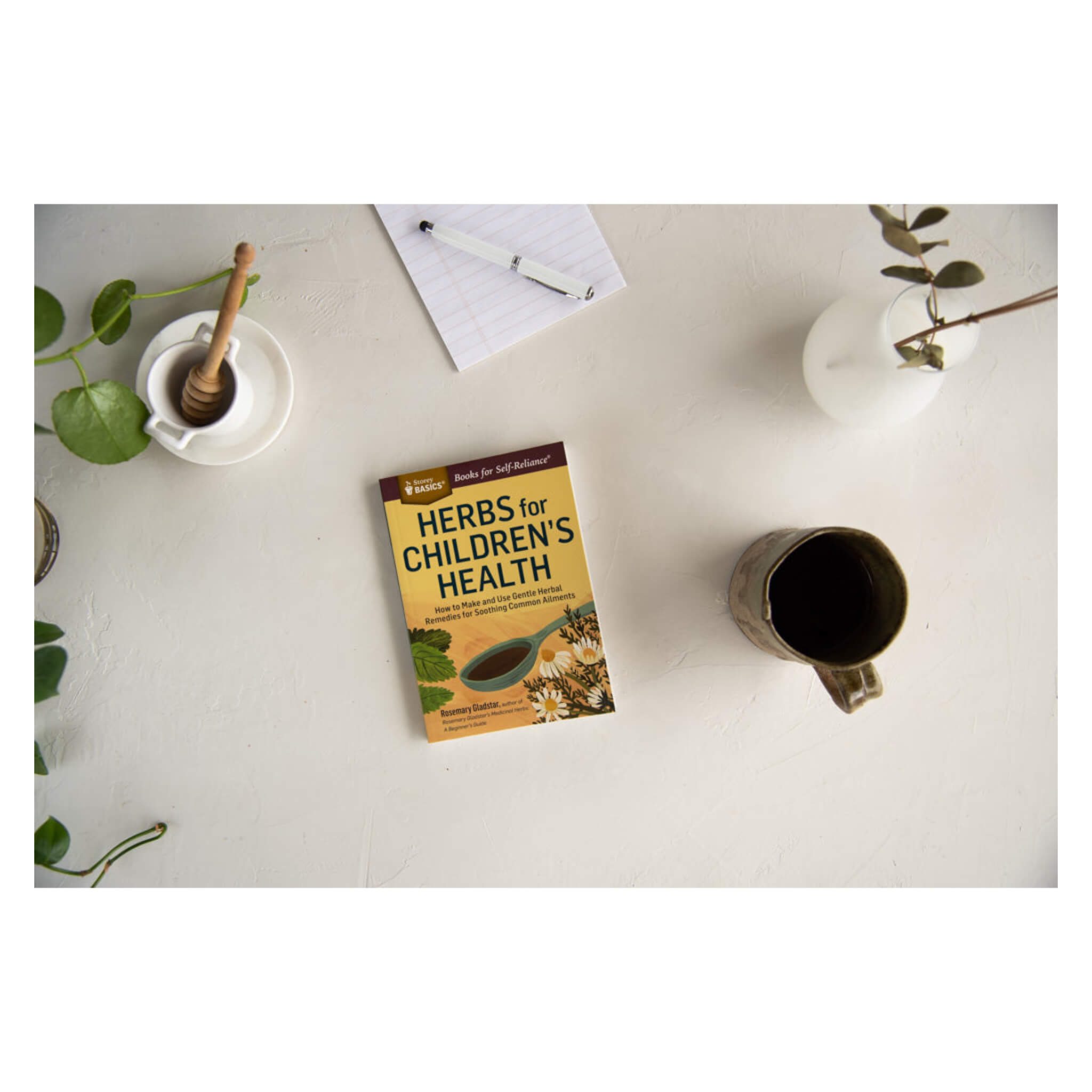 Best Herbs for Kids' Health - Natural Immune Boosters & Wellness Supplements for Children - Perfect for Daily Health Support & Cold Season Defense