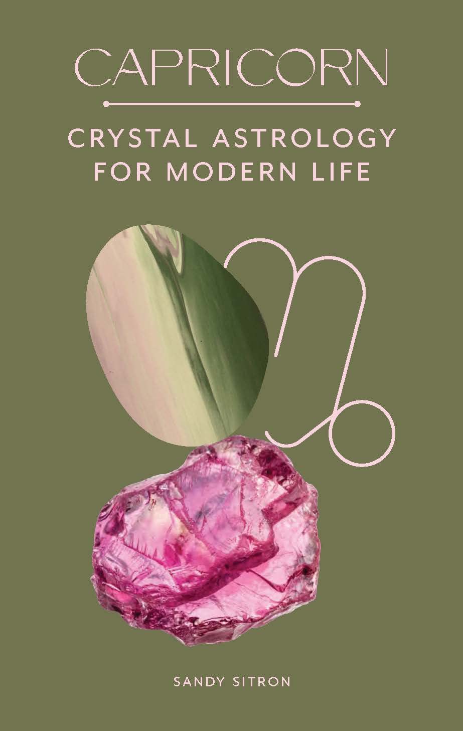 Capricorn Zodiac Crystal - Healing Stones for Astrology & Modern Life | Perfect for Meditation, Home Decor & Spiritual Gifts