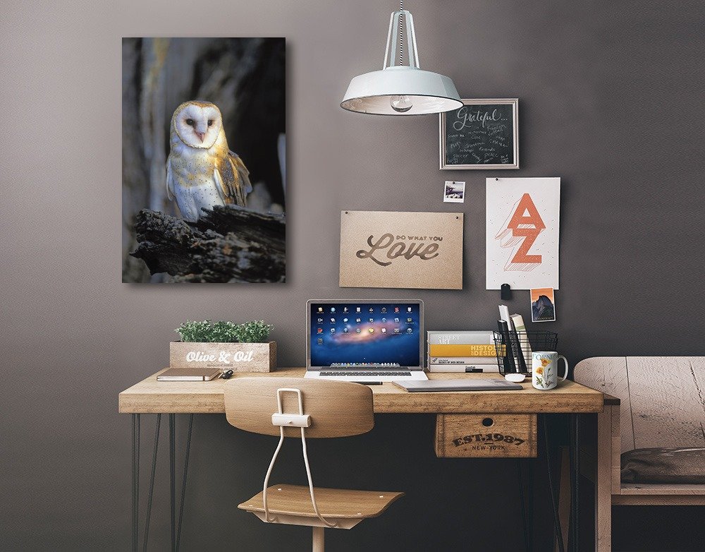 Lantern Press Barn Owl Wall Art - 12x18 Wrapped Canvas Print for Home & Office Decor - Perfect for Living Room, Bedroom, or Gift