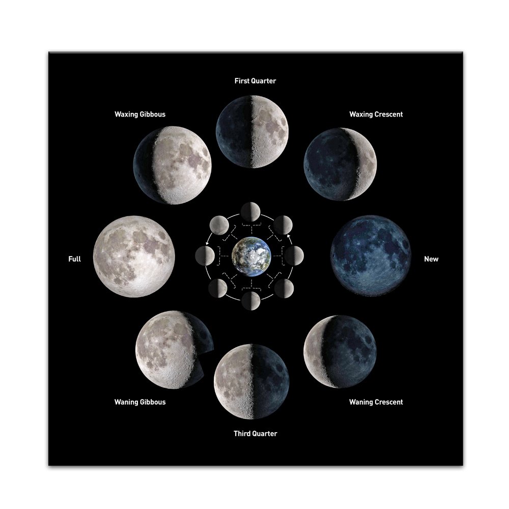 Black White Moon Phases Canvas Wall Art - Astronomy Decor for Home Office