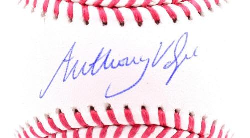 Anthony Volpe Autographed OML Baseball - Official MLB Licensed - Signed Collectible Baseball for Fans - Perfect for Display, Memorabilia Collections, and Yankees Gifts