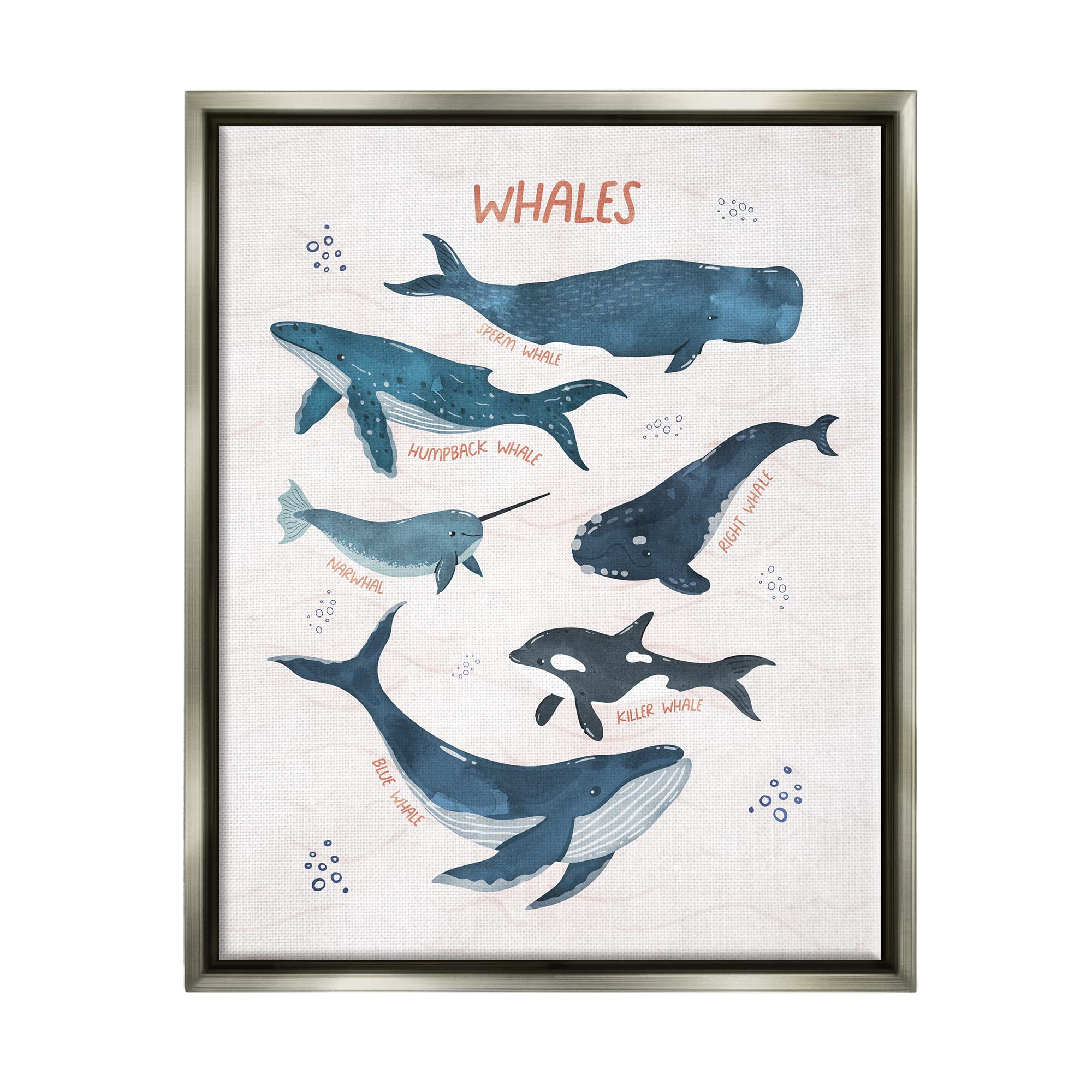 Stupell Industries Nautical Whale & Narwhal Types Diagram with Bubbles Illustration - Wall Art by Nina Blue | Perfect for Beach House Decor, Ocean Theme Nursery & Coastal Living Room