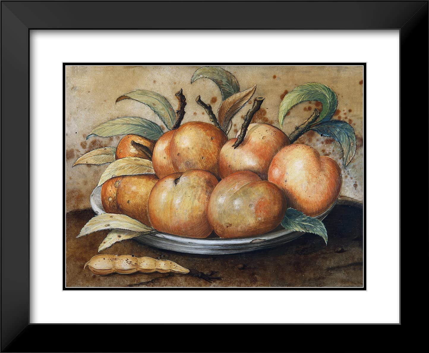 Giovanna Garzoni Still Life with Peaches and Currant Bread - 24x19 Inch Black Modern Framed Museum Art Print with Double Mat | Wall Decor for Living Room, Office & Dining Room