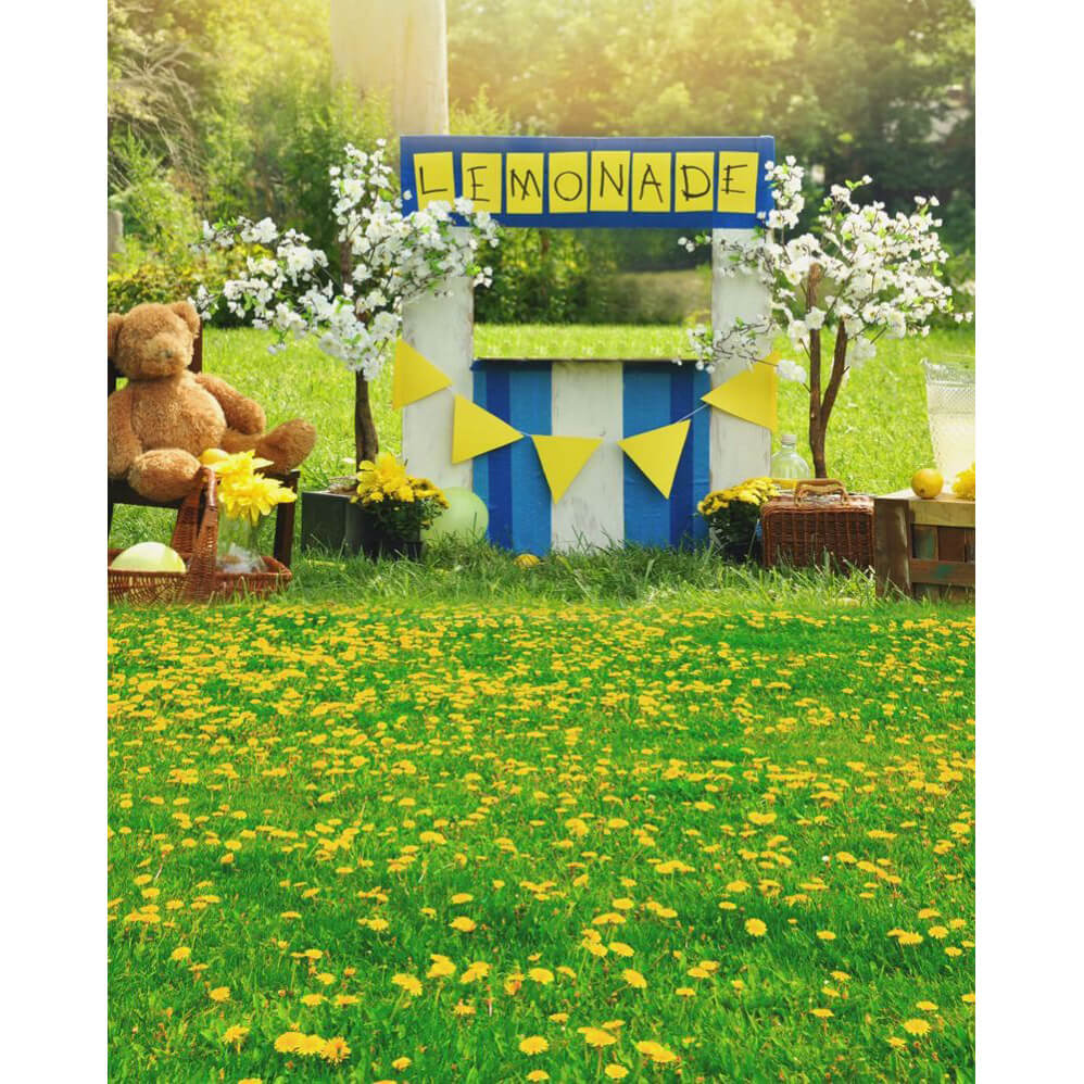 Enchanted Forest Photography Backdrop 3x4m - Kids Birthday Party Background (Design 4) | Perfect for Baby Showers, Fairy Tale Themed Events & Photo Studio Decor - CLEARANCE SALE