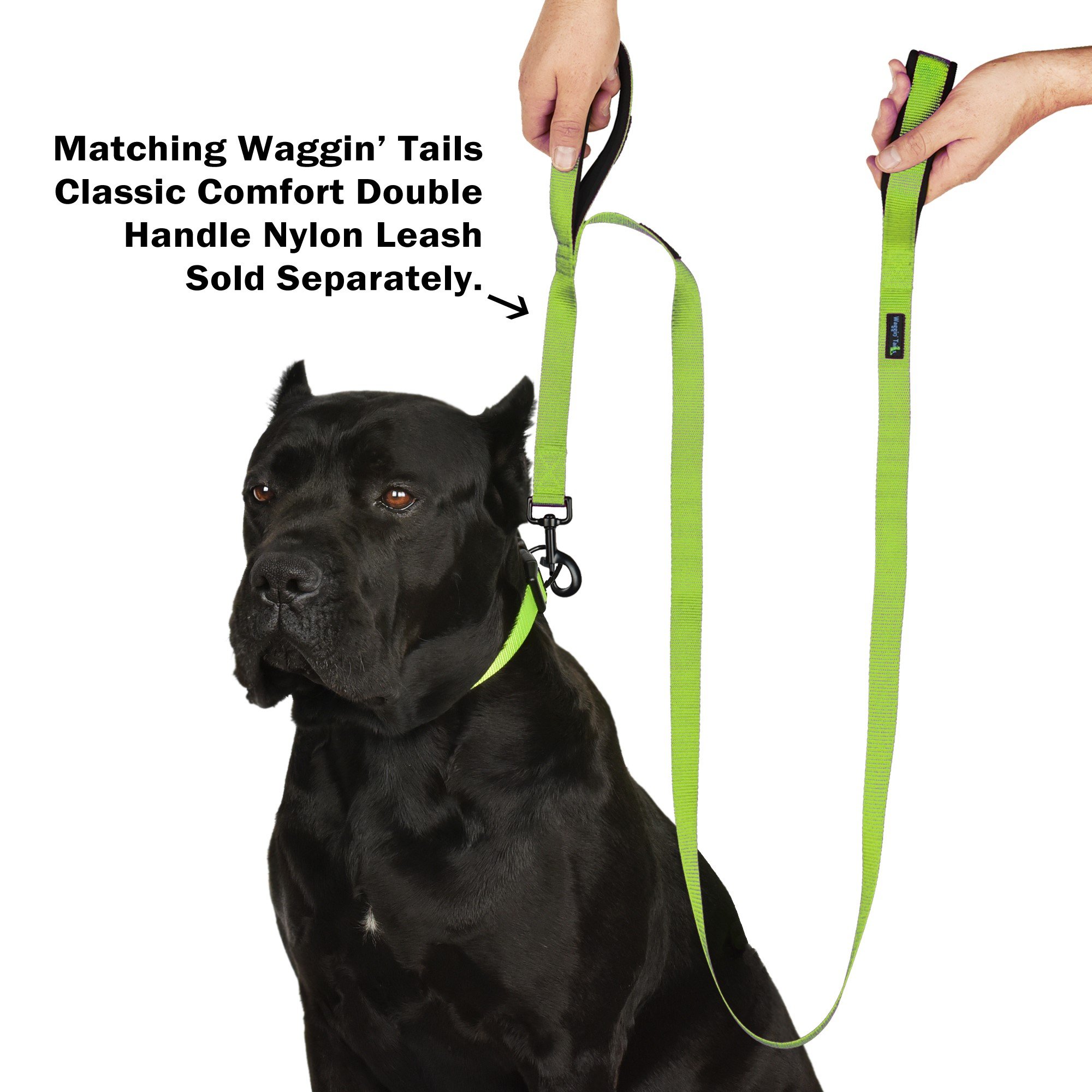 Premium Nylon Neoprene Padded Dog Collar - Classic Comfort Adjustable Collar for Medium Dogs | Soft & Durable Pet Collar with Padded Lining | Perfect for Daily Walks, Training & Outdoor Adventures (Neon Green, Size M) by Wagtime Club