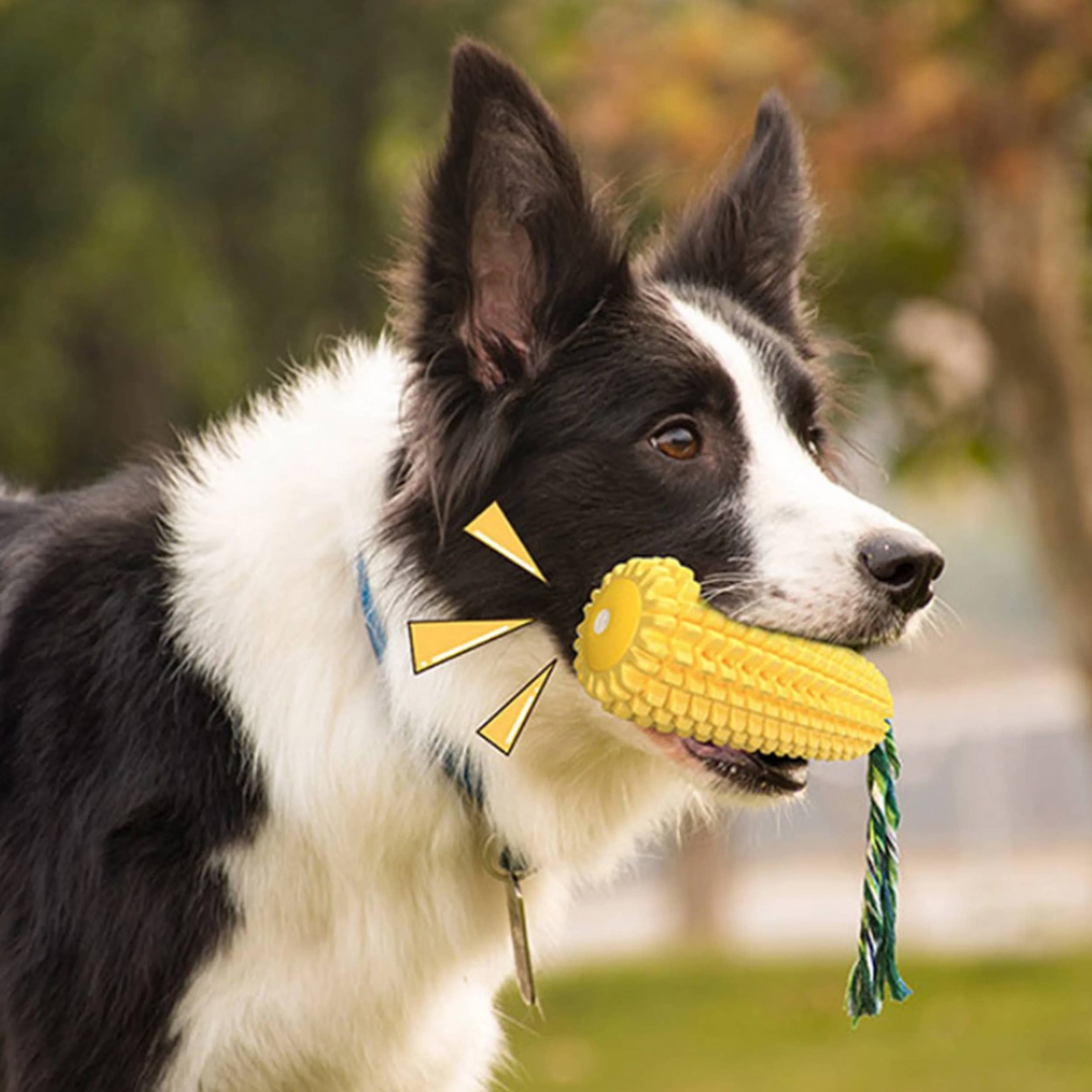 Natural Cornstarch Dog Chew Toys - Safe Teeth Cleaning Toothbrush for Puppies & Small Dogs - Eco-Friendly Pet Dental Care - Perfect for Teething, Training, and Playtime