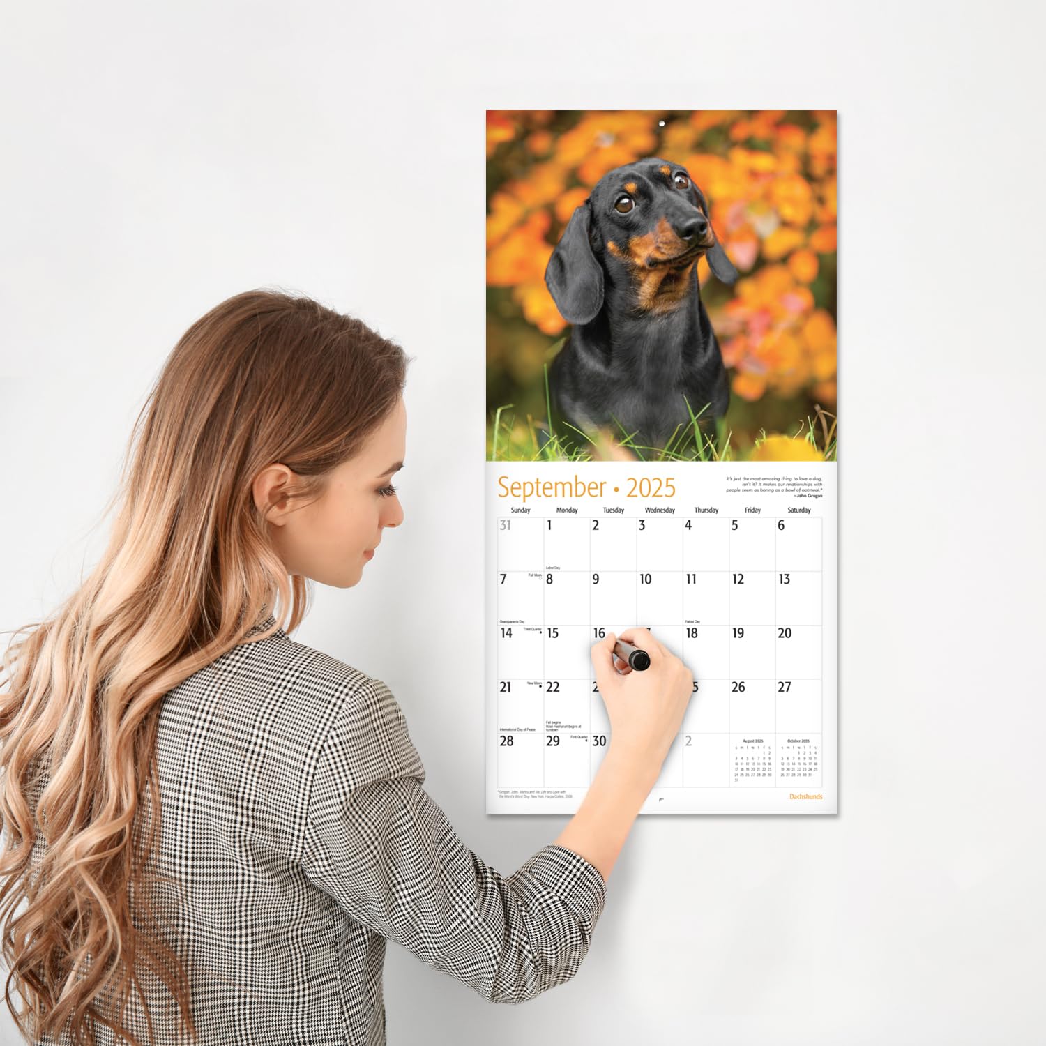 RED EMBER Dachshunds 2025 Wall Calendar - 12 Month Large 12x24 Inch with Thick Sturdy Paper - Perfect Gift for Dog Lovers - Home, Office & Classroom Decor