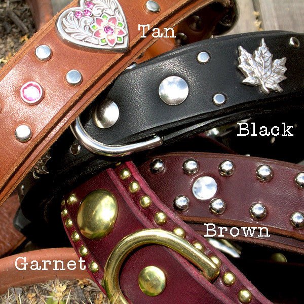 Premium Prana Leather Dog Collar - Adjustable, Durable & Stylish Pet Collar for Small Medium Large Dogs - Perfect for Walking, Training & Outdoor Adventures