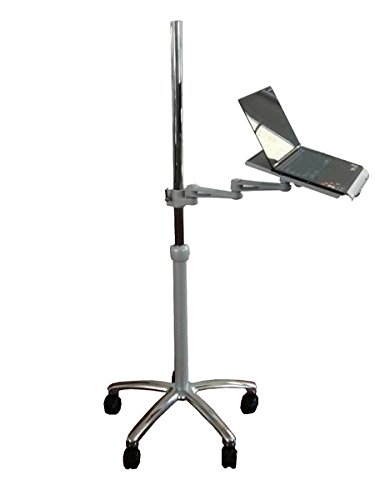 Adjustable Rolling Laptop Stand Desk - 24