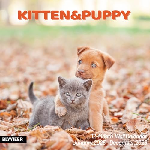 Kittens & Puppies